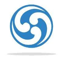 Plexus