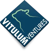 Vitulum Ventures, VC Fund