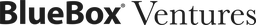 BlueBox Ventures