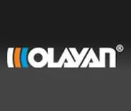 The Olayan Group