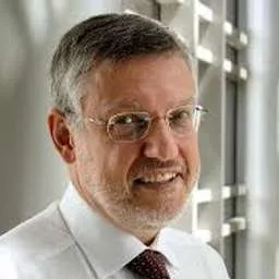 Silvio Genesini, Managing partner at ToF