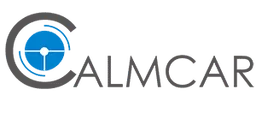 CalmCar Vision System