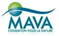 MAVA Foundation