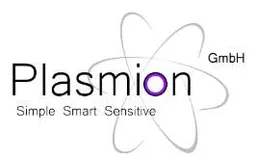 Plasmion