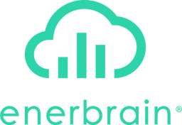 Enerbrain
