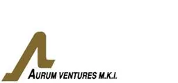 Aurum Ventures MKI