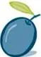 Blue Olive Partners