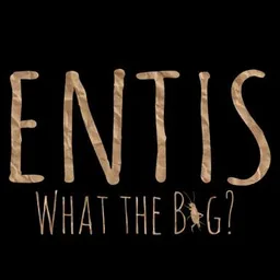 Entis