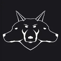 Watchdog Systems