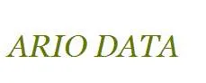 ARIO Data Networks