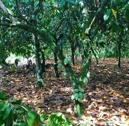 Farmers Hope