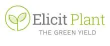 Elicit Plant