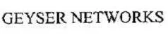 Geyser Networks