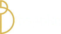 Bspoke, VC Fund