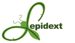 Lepidext
