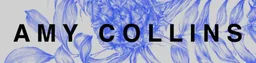 Amy Collins