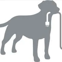 Labrador