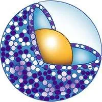 BlueWillow Biologics