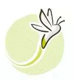 Luciole Medical