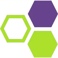 Biosight Ltd.