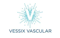 Vessix Vascular