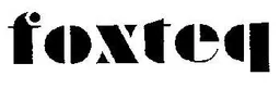 Foxteq Holdings