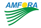 Amfora