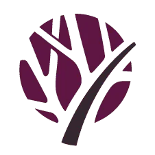 Vena Medical