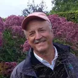 David Wetherell