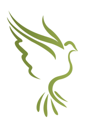 Dotterel Technologies