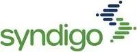 Syndigo