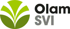 Olam