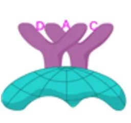 Hangzhou DAC Biotech Co., Ltd