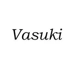 Vasuki Tech Fund