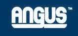 Angus Chemical