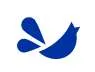 BrewBird