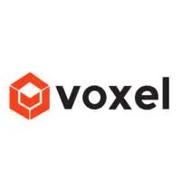 Voxel