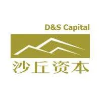 D&S Capital