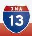 DNA13