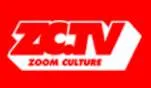 Zoom Culture
