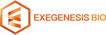 Exegenesis Bio