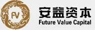 Future Value Capital
