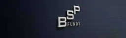 BSP Funds, VC Fund