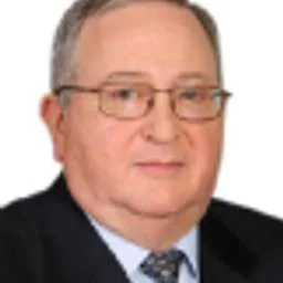 Amnon Lion