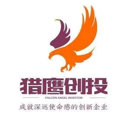 Falcon Angel Investor