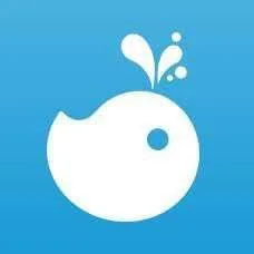 Blue Whale Finance