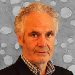 Henk Havinga