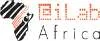 iLabAfrica, VC Fund