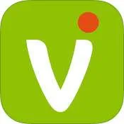 Vidigami
