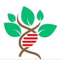 Agragene